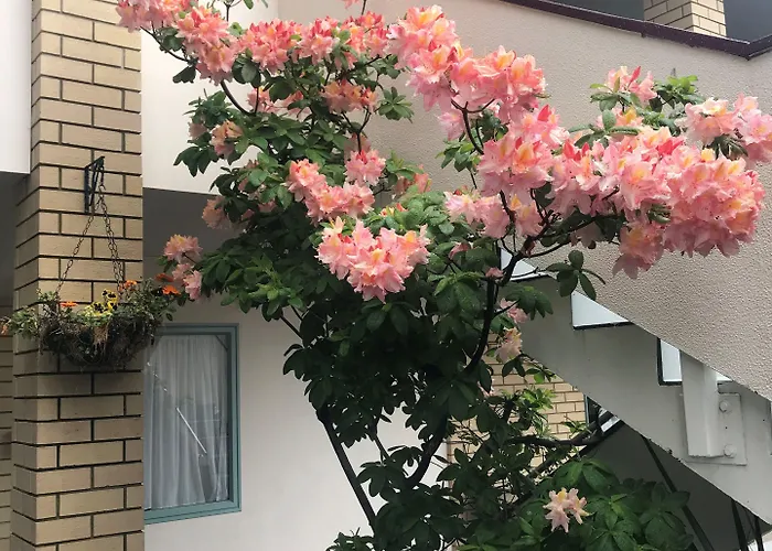 Motel Fenton Court 4*